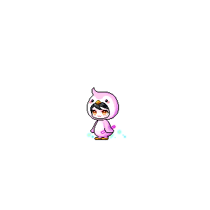 을 사용한 메이플스토리 메애기 코디
