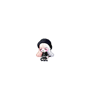 을 사용한 메이플스토리 메애기 코디