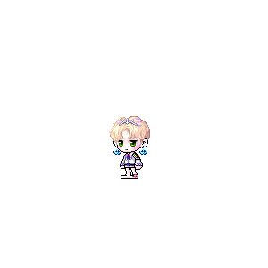 을 사용한 메이플스토리 메애기 코디