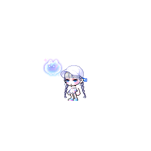 을 사용한 메이플스토리 메애기 코디