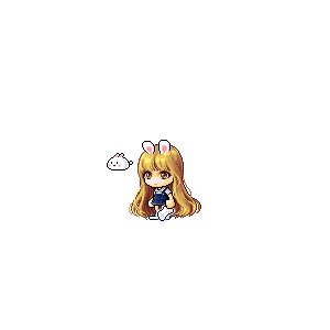 을 사용한 메이플스토리 메애기 코디