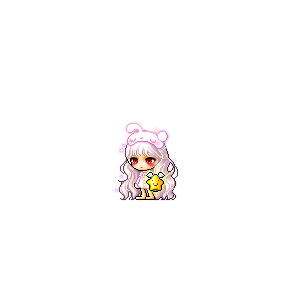 을 사용한 메이플스토리 메애기 코디
