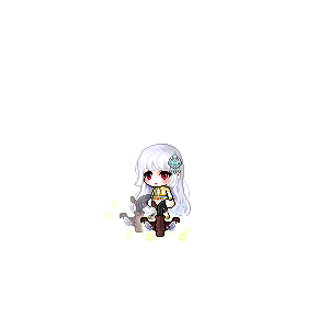 을 사용한 메이플스토리 메애기 코디