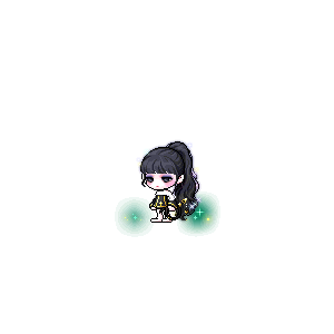 을 사용한 메이플스토리 메애기 코디