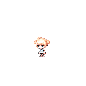 을 사용한 메이플스토리 메애기 코디