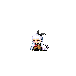 을 사용한 메이플스토리 메애기 코디