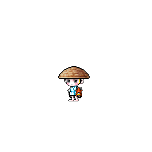 을 사용한 메이플스토리 메애기 코디