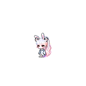 을 사용한 메이플스토리 메애기 코디