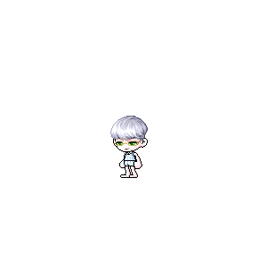 을 사용한 메이플스토리 메애기 코디