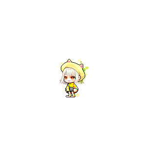 을 사용한 메이플스토리 메애기 코디