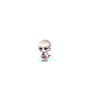 을 사용한 메이플스토리 메애기 코디