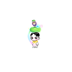 을 사용한 메이플스토리 메애기 코디