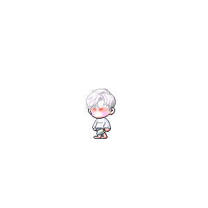을 사용한 메이플스토리 메애기 코디