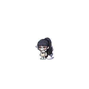 을 사용한 메이플스토리 메애기 코디