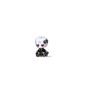 을 사용한 메이플스토리 메애기 코디