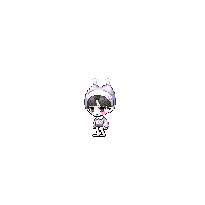 을 사용한 메이플스토리 메애기 코디