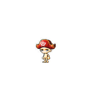 을 사용한 메이플스토리 메애기 코디