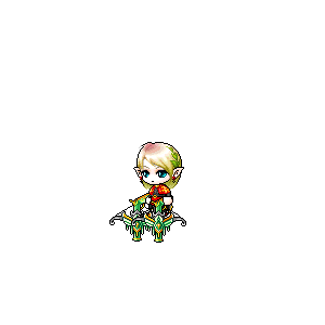 을 사용한 메이플스토리 메애기 코디