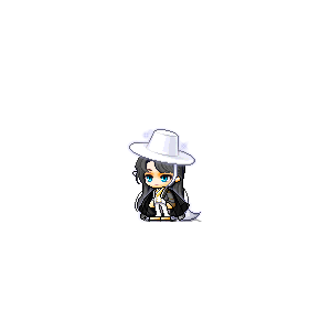 을 사용한 메이플스토리 메애기 코디