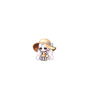 을 사용한 메이플스토리 메애기 코디