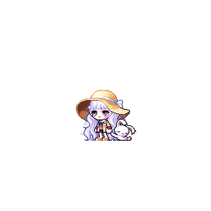 을 사용한 메이플스토리 메애기 코디