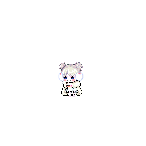 을 사용한 메이플스토리 메애기 코디