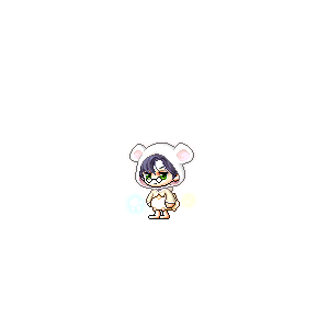 을 사용한 메이플스토리 메애기 코디