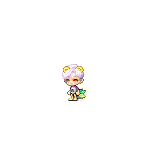 을 사용한 메이플스토리 메애기 코디