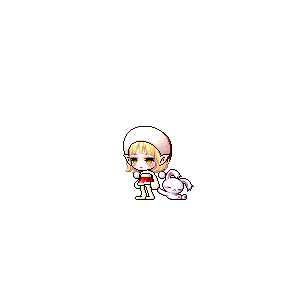 을 사용한 메이플스토리 메애기 코디