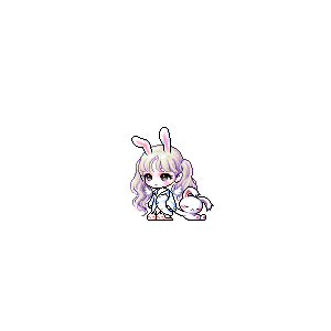을 사용한 메이플스토리 메애기 코디