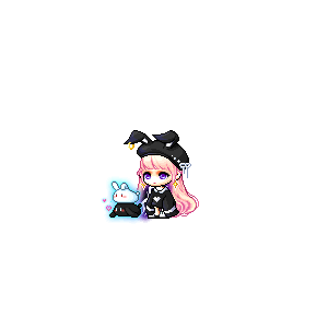 을 사용한 메이플스토리 메애기 코디