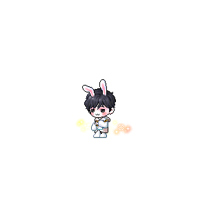 을 사용한 메이플스토리 메애기 코디