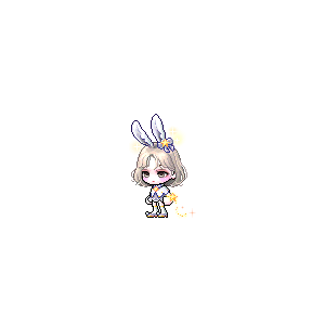 을 사용한 메이플스토리 메애기 코디
