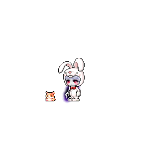 을 사용한 메이플스토리 메애기 코디