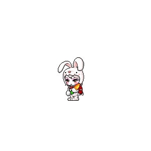 을 사용한 메이플스토리 메애기 코디