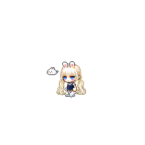을 사용한 메이플스토리 메애기 코디
