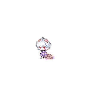 을 사용한 메이플스토리 메애기 코디