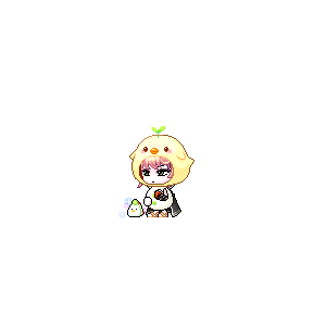 을 사용한 메이플스토리 메애기 코디