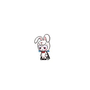 을 사용한 메이플스토리 메애기 코디