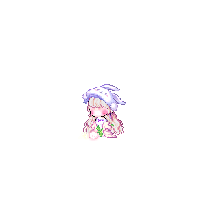 을 사용한 메이플스토리 메애기 코디