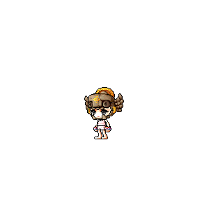 을 사용한 메이플스토리 메애기 코디