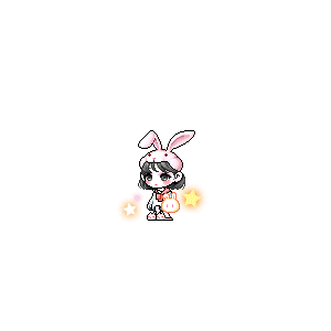 을 사용한 메이플스토리 메애기 코디
