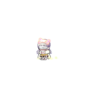 을 사용한 메이플스토리 메애기 코디