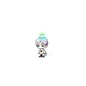 을 사용한 메이플스토리 메애기 코디