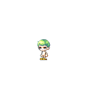 을 사용한 메이플스토리 메애기 코디