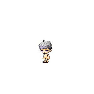 을 사용한 메이플스토리 메애기 코디