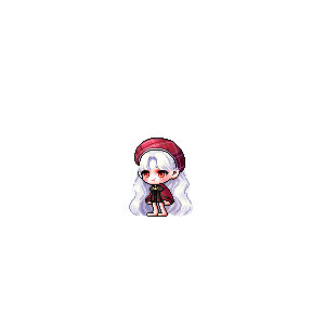 을 사용한 메이플스토리 메애기 코디