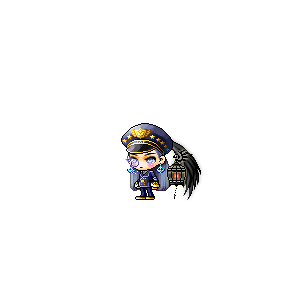 을 사용한 메이플스토리 메애기 코디