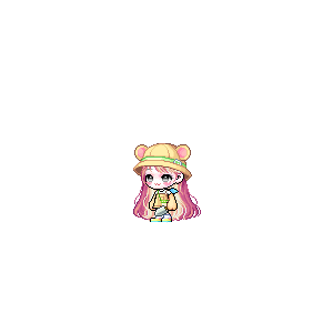 을 사용한 메이플스토리 메애기 코디