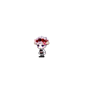 을 사용한 메이플스토리 메애기 코디